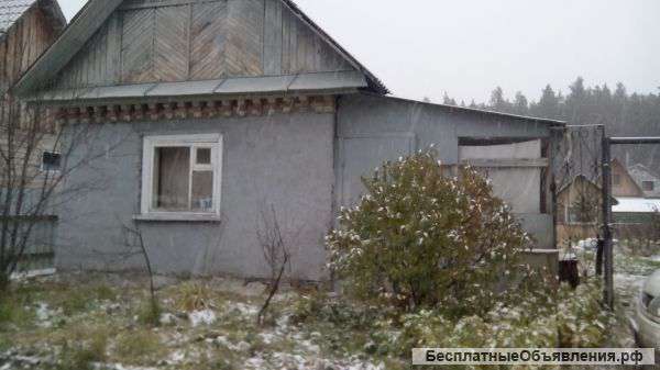 Сад