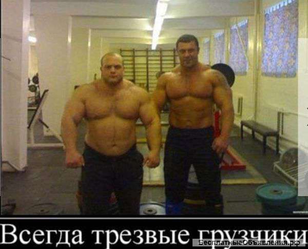 Аккуратные и опытные грузчики,грузоперевозки