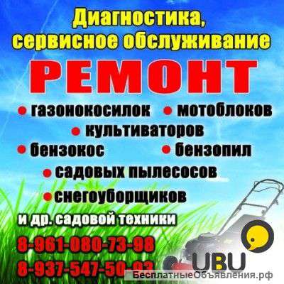 Ремонт виброплит газонокосилок мотокос бензогенератора мотопомп бензопил