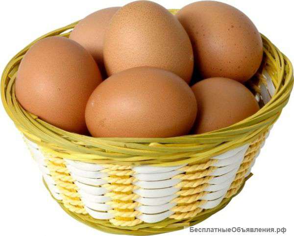 Оптом сыры, яйцо, муку, крупы, масло