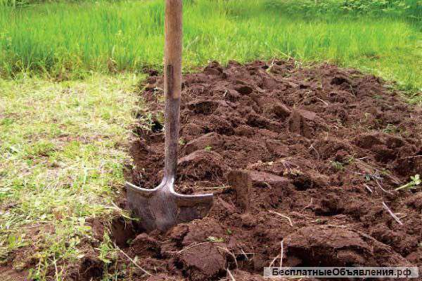 Земельные работы,демонтаж,разнорабочие.Любой район Москвы и МО