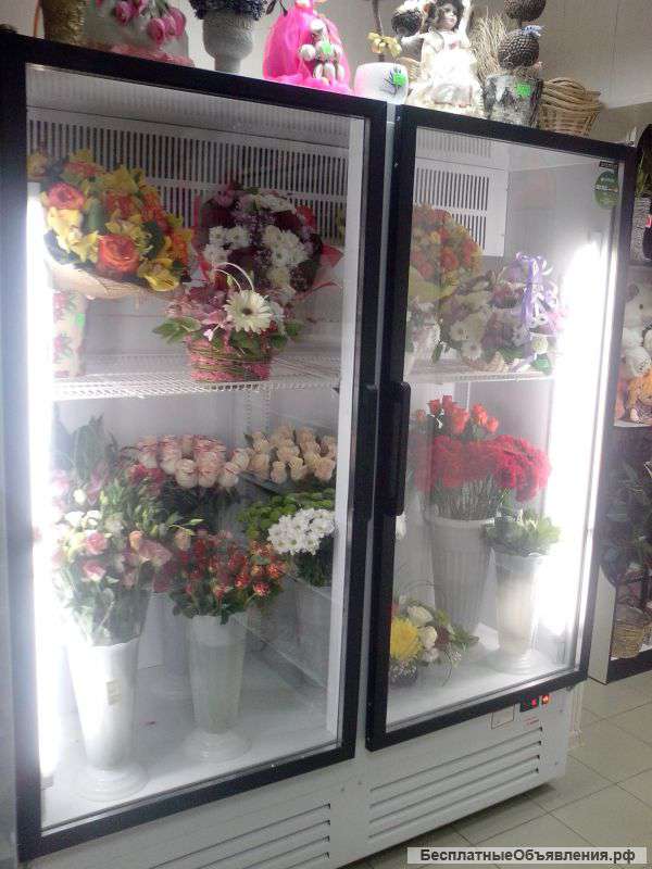 Холодильник