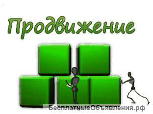 Менеджер сетевого бизнеса