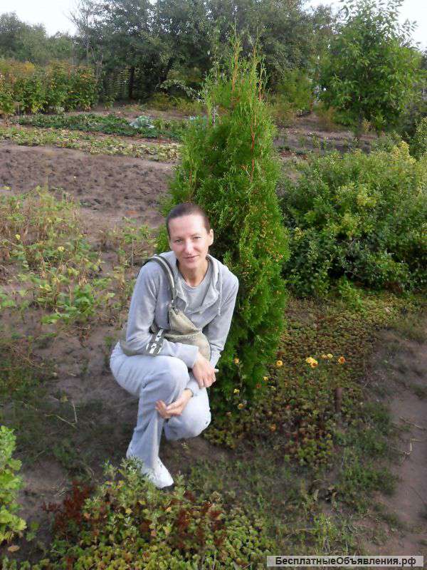 Дачный участок