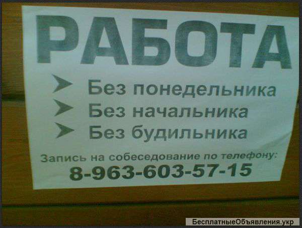 Водитель грузового микроавтобуса