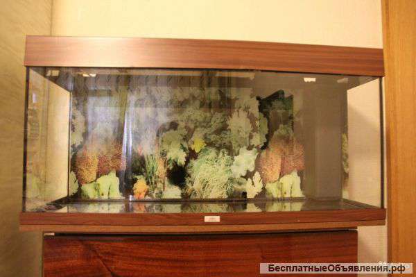 Аквариум Juwel Rio 180л