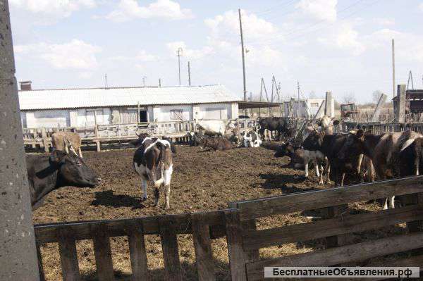 Совхоз действующий .все в соб-ти г.Иваново