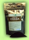 Гриб чага