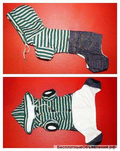 Одежда для собак