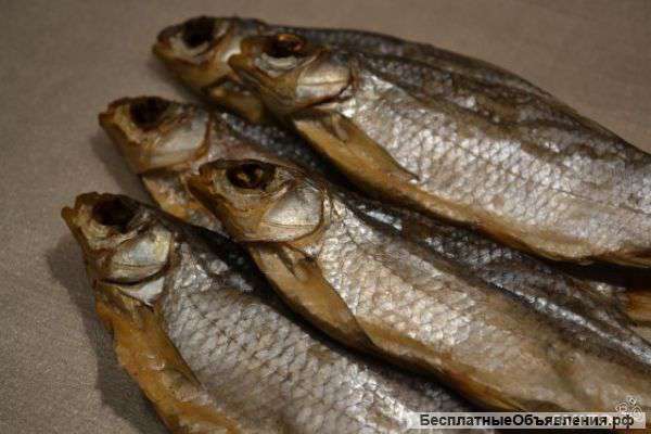 Вобла Астраханская