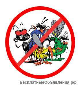 Дезинфекция