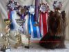 Кобель йорк мини, шоколадный, вязка
