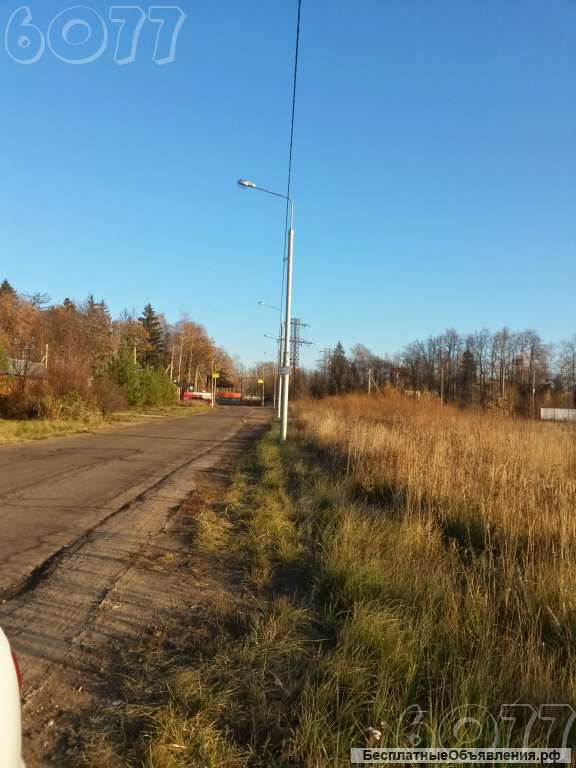 Новая москва,постниково 161 сотка