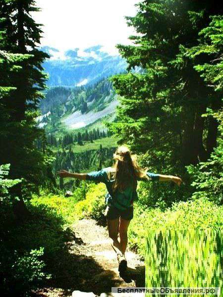 Консультации по туризму