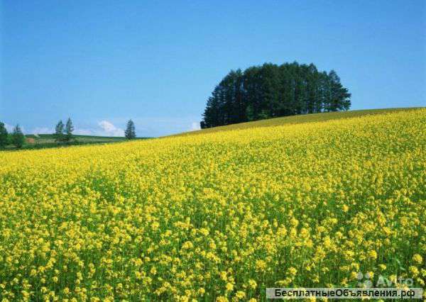 Землю под ИЖС