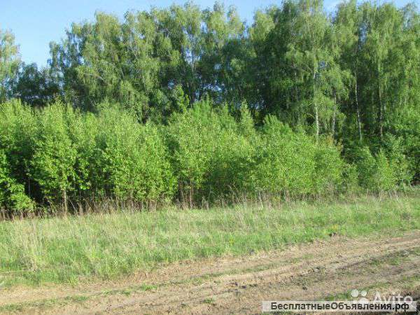 Земельный участок сельхозназначения 3.2 га.