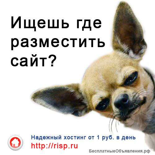 Надежный хостинг от 1 руб