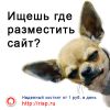 Надежный хостинг от 1 руб