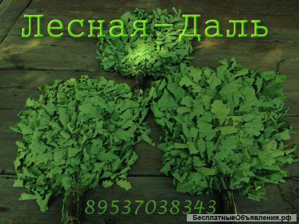 Банные веники от производителя