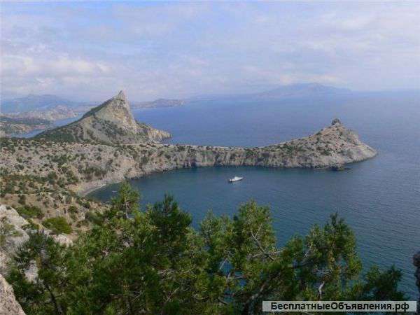 Ваш представитель или управляющий в Крыму