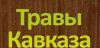 Открыта вакансия продавца-консультанта в магазин «Травы Кавказа»