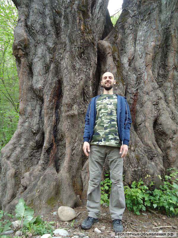 Домашний мастер