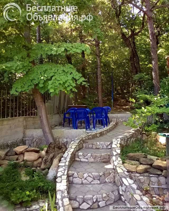 Сдается коттедж у моря в поселке Новомихайловском (Туапсинский район) в 50м. от моря.