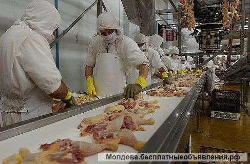 Требуются разнорабочие в Германию