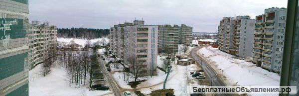 Квартиру