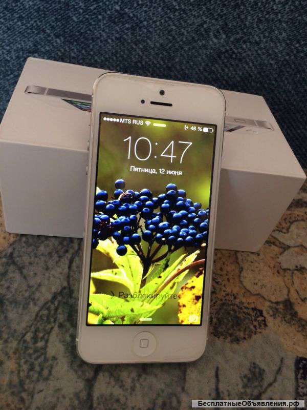 IPhone 5