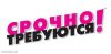 Набирается бригада каменщиков