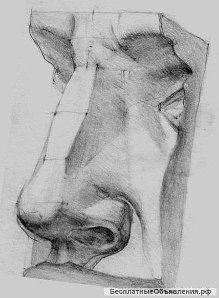 Академический рисунок, живопись