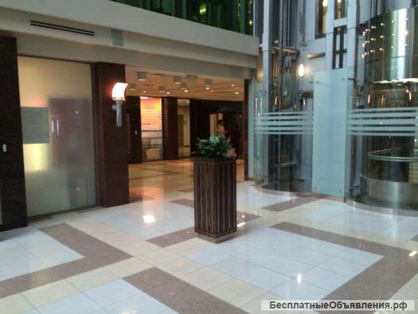 Готовый бизнес с помещением