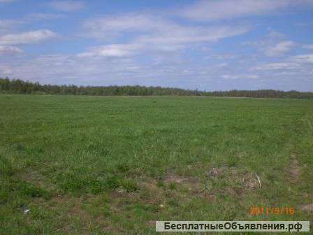 Поле для дачного строительства