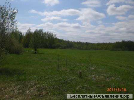 Поле для дачного строительства