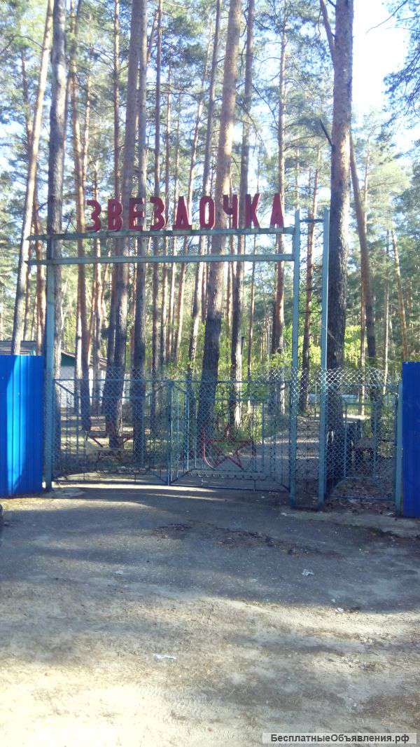 База отдыха в пригородном сосновом лесу Тамбов