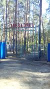 База отдыха в пригородном сосновом лесу Тамбов