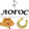 ЦПМ ЛОГОС – энергетическая и магическая помощь в бизнесе и делах