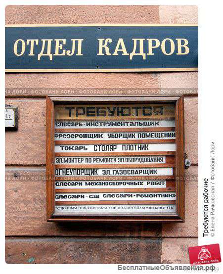 Стажер в HR отдел
