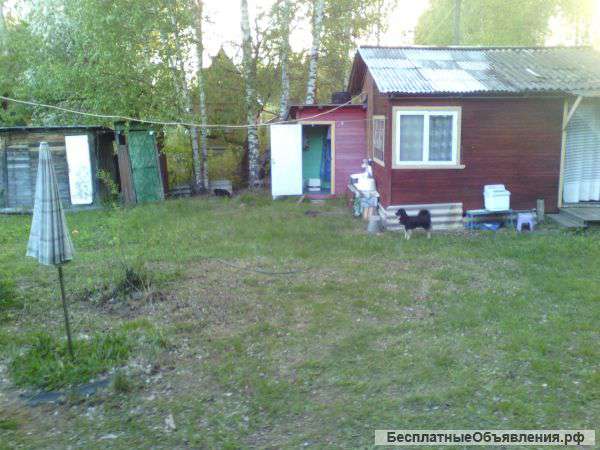Приглашаем отдохнуть на берегу Волги