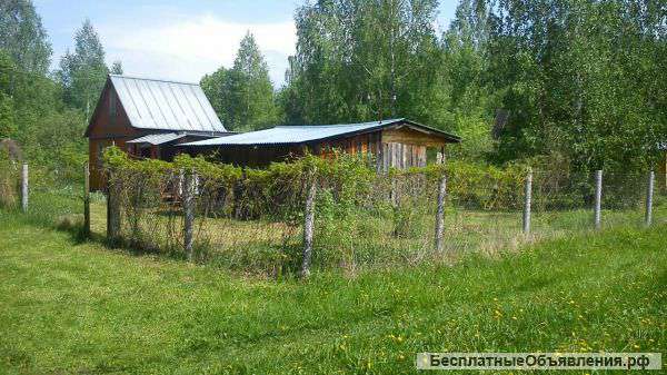 Участок с домом и сараем