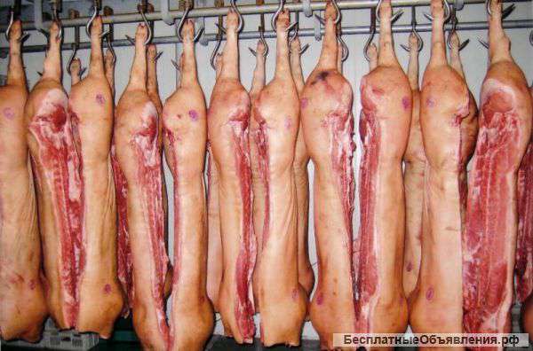 Мясо свинины охлажденное и заморозка