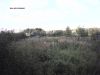 Земельный участок 4 (6) соток, Москва