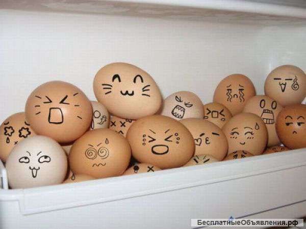 ЯЙЦО куриное,диетическое,перепилиное