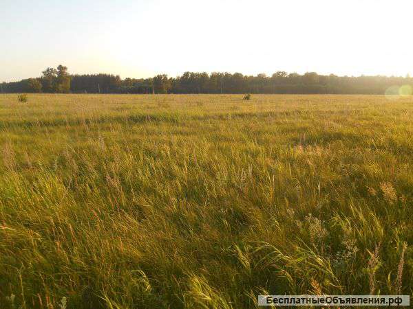 Кармаскалинский район, д. Суук-Чишма,30 км от г. Уфы,15 сот