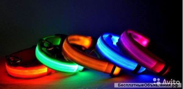 Ошейники для собак и кошек светодиодные