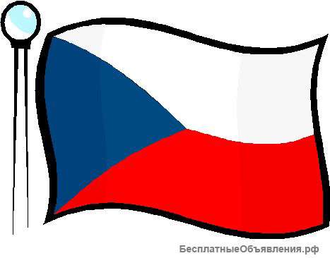 Уроки чешского языка по Skype