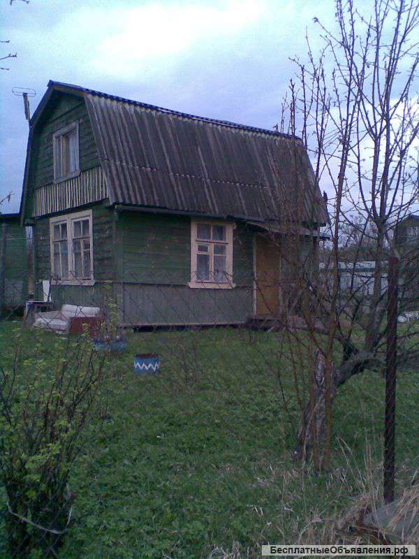 Сдаю дачу на лето