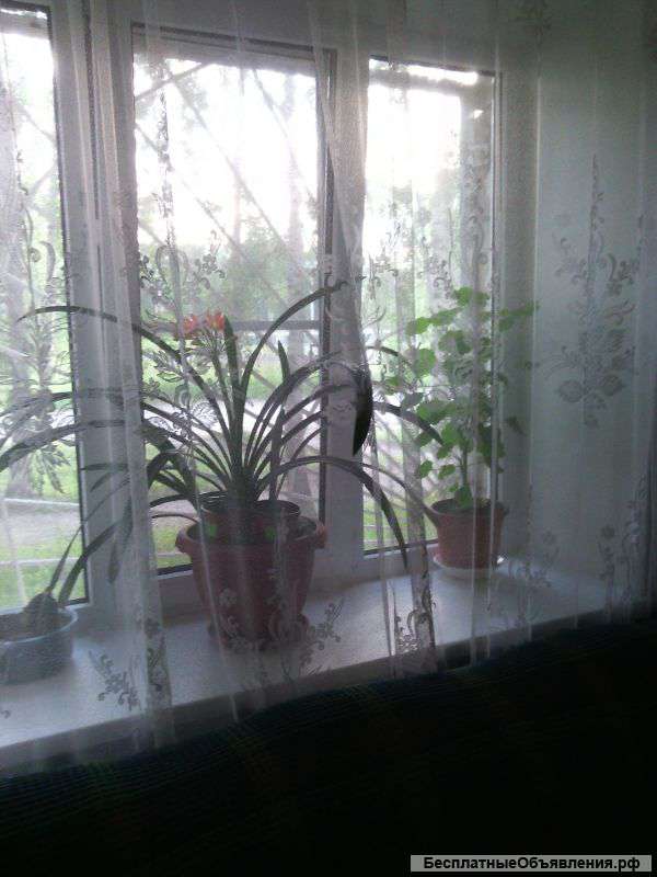 Сдаю комнату от хозяйки