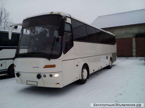 Компания "AVTOBUS50" предлагает аренду микроавтобусов и автобусов